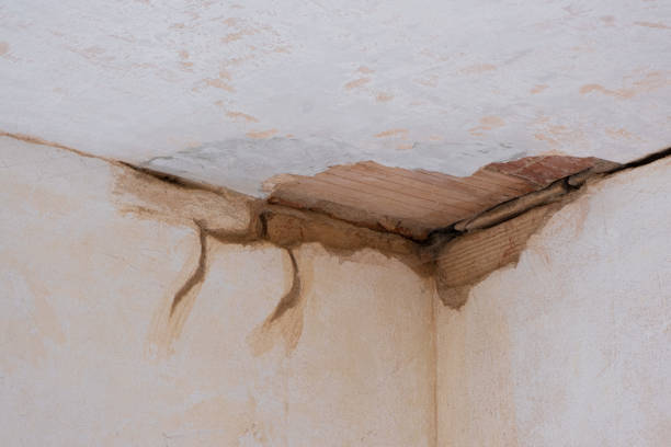 Best Emergency water damage restoration  in Winfield, MO