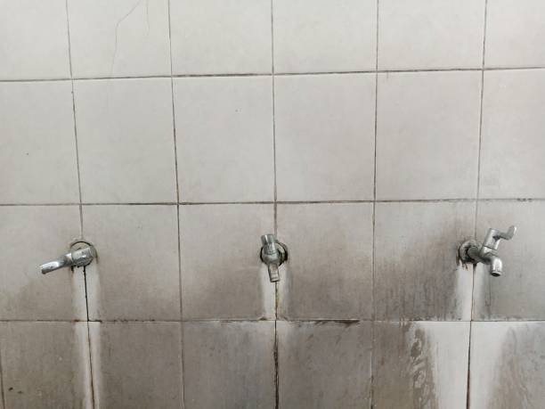 Best 24/7 water damage repair  in Winfield, MO