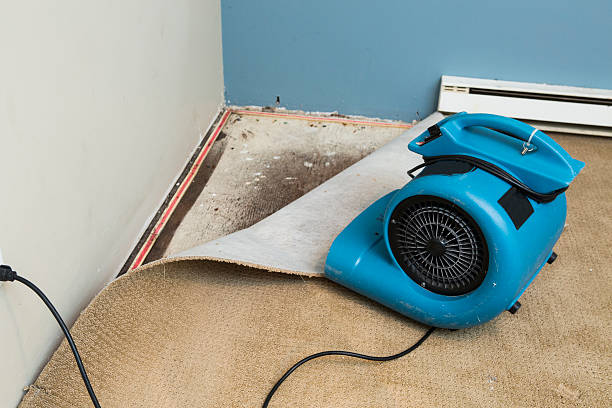 Best Carpet water damage restoration  in Winfield, MO